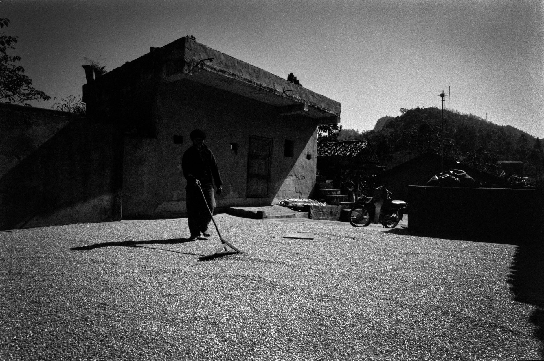 Comment faire un terrain de pétanque ? Le guide complet (matériaux, étapes, budget)