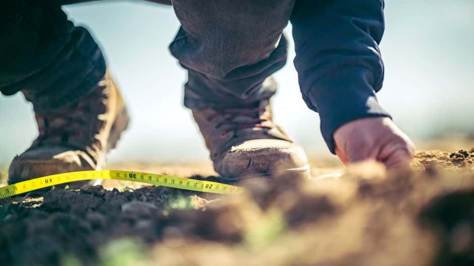 Dimensions d'un terrain de pétanque : la règle officielle FIPJP et FFPJP